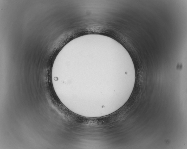 X0000111890738200908201320