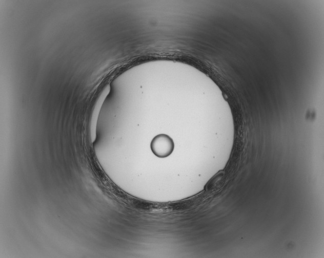 X0000111890744200908201320