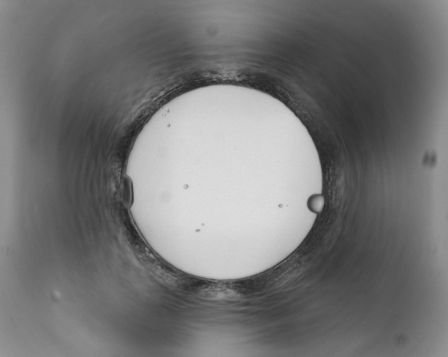 X0000111890747200908201321