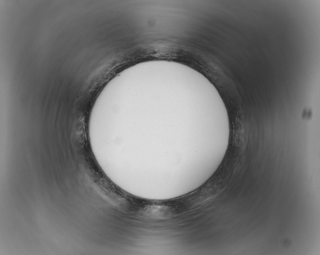 X0000111890748200908201321