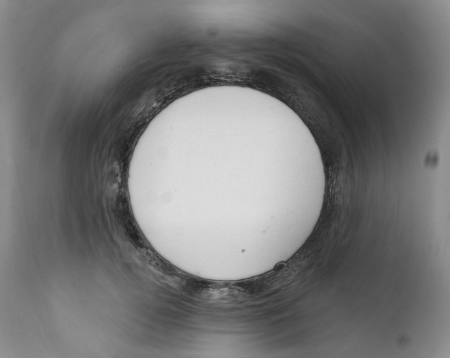 X0000111890752200908201321