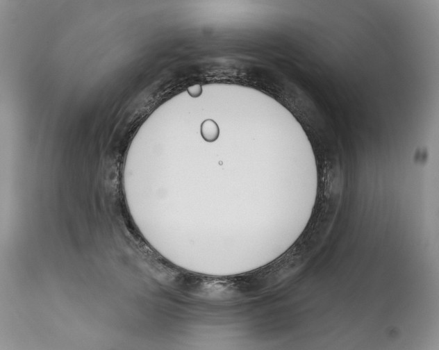 X0000111890753200908201321