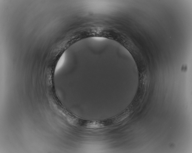 X0000111890754200908201321