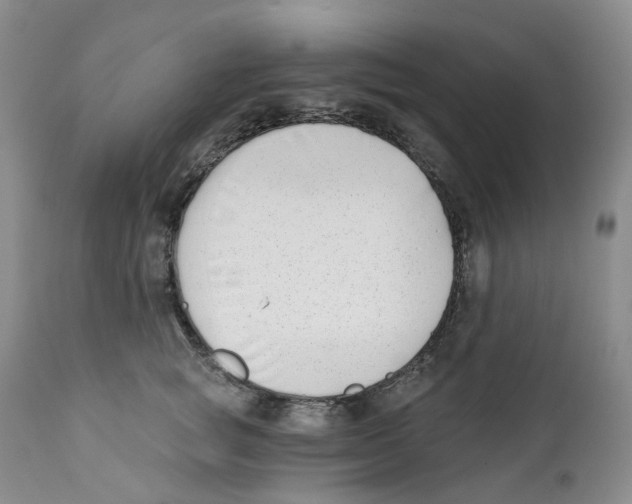 X0000111890757200908201321