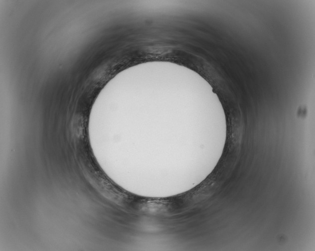 X0000111890758200908201321