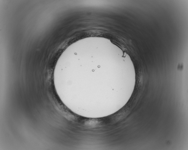 X0000111890759200908201321