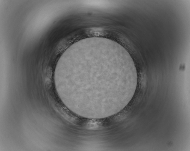 X0000111890760200908201321