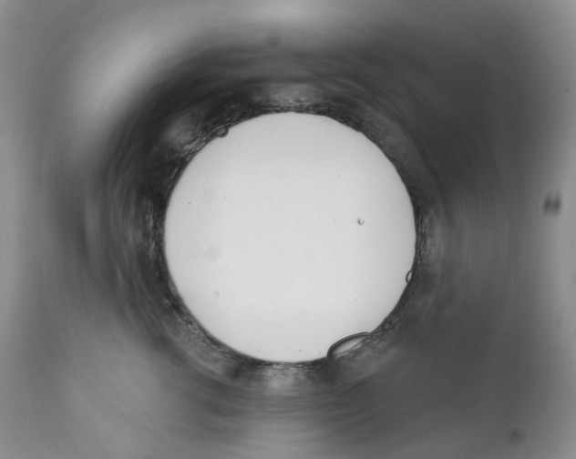 X0000111890762200908201321