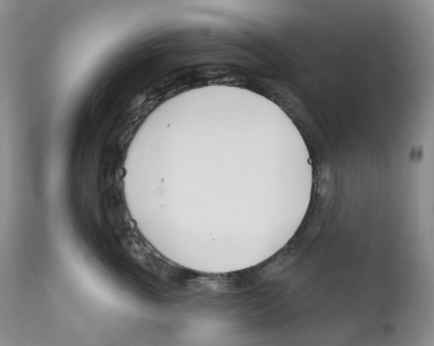 X0000111890763200908201321