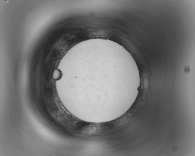 X0000111890764200908201321