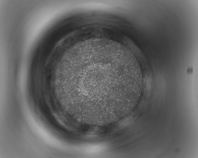 X0000111890765200908201321