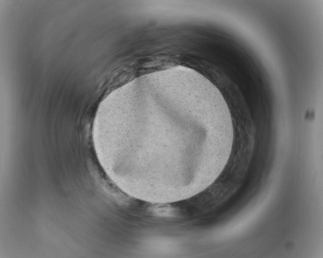 X0000111890767200908201321