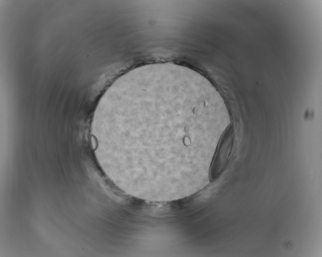 X0000111890768200908201321