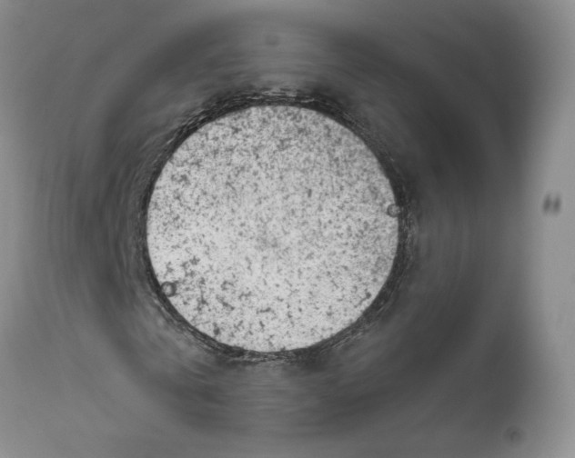 X0000111890769200908201320