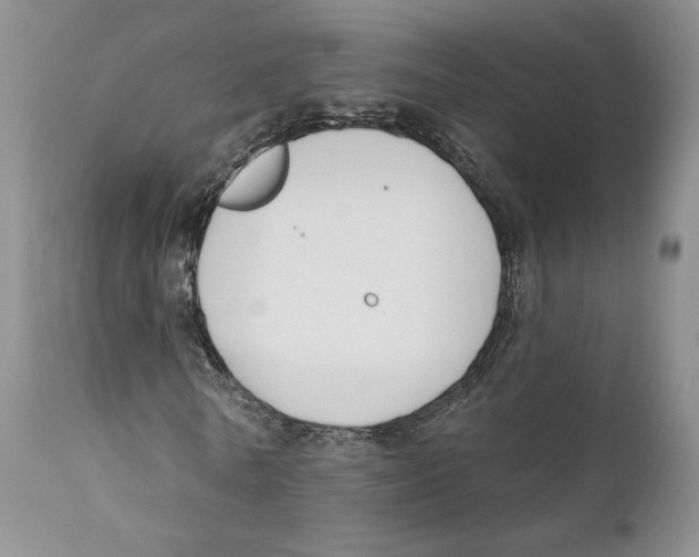 X0000111890770200908201320