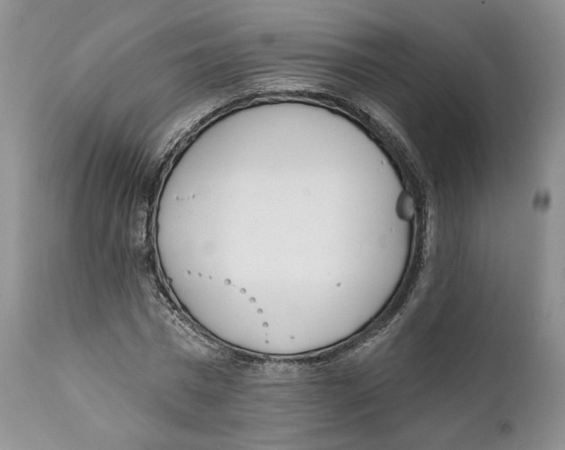 X0000111890777200908201320