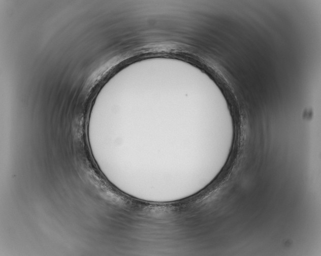 X0000111890778200908201320