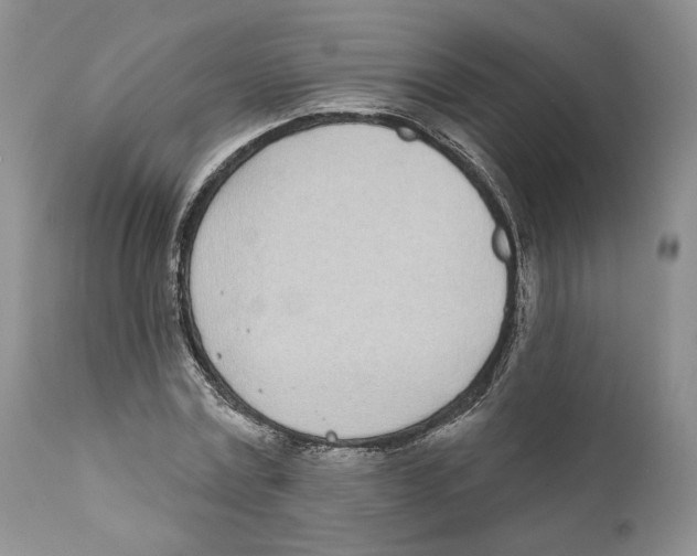 X0000111890779200908201320