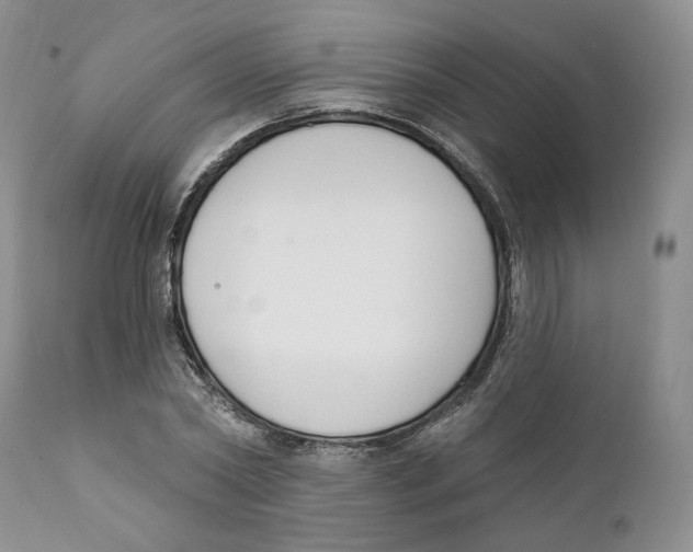 X0000111890782200908201320