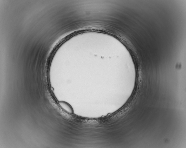 X0000111890784200908201320