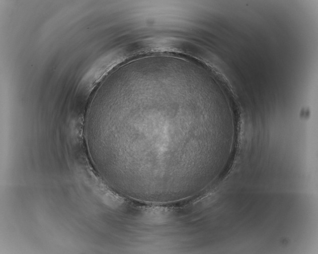 X0000111890785200908201320