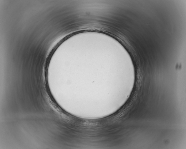 X0000111890788200908201320