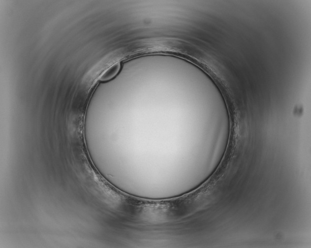 X0000111890793200908201320