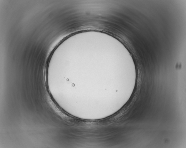 X0000111890796200908201320