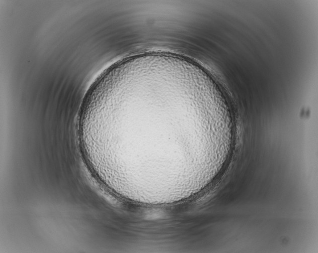 X0000111890798200908201320