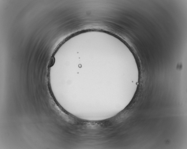 X0000111890799200908201320