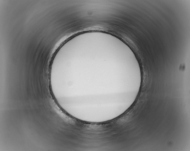 X0000111890800200908201320