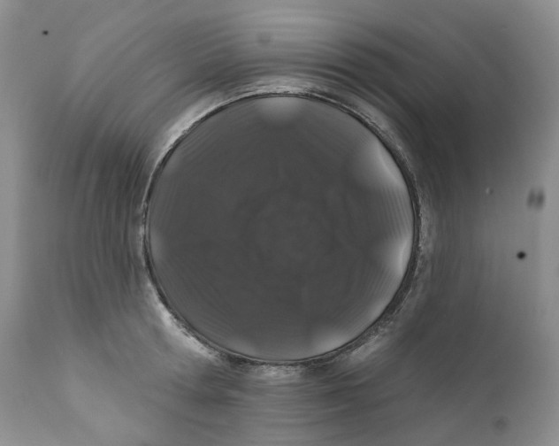 X0000111890802200908201320