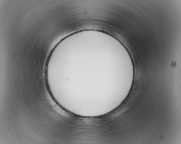 X0000111890803200908201319