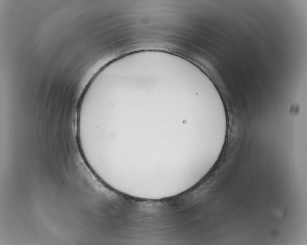 X0000111890804200908201319