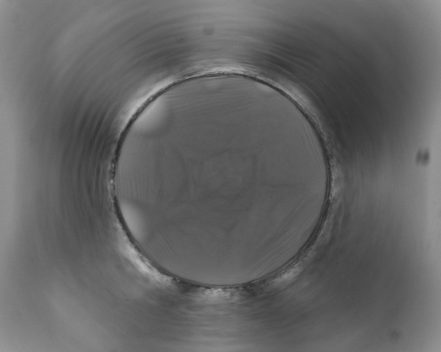 X0000111890806200908201319