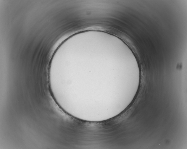 X0000111890808200908201319