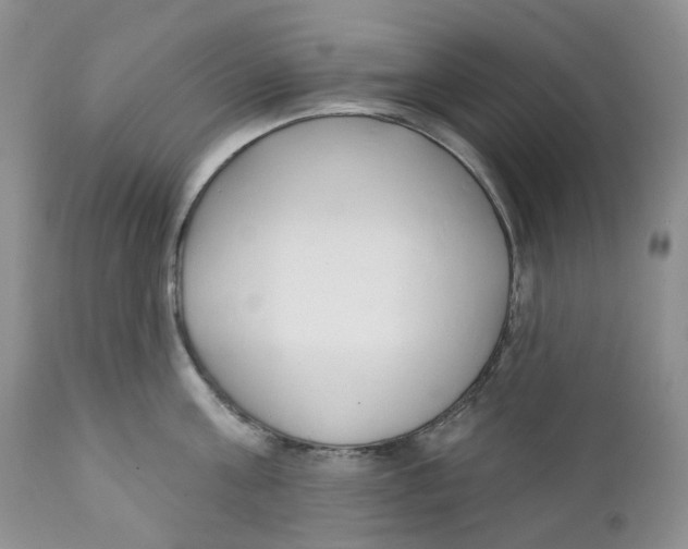 X0000111890811200908201319