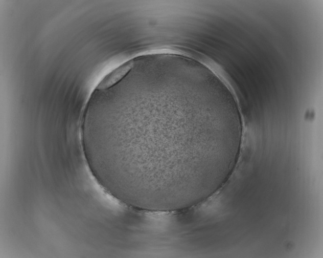 X0000111890813200908201319