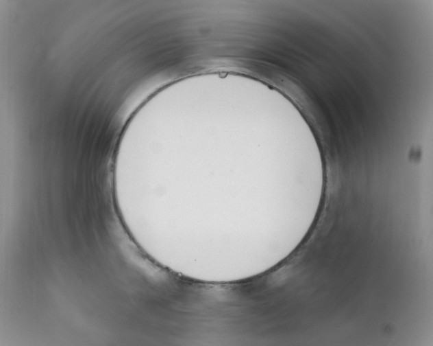 X0000111890814200908201319