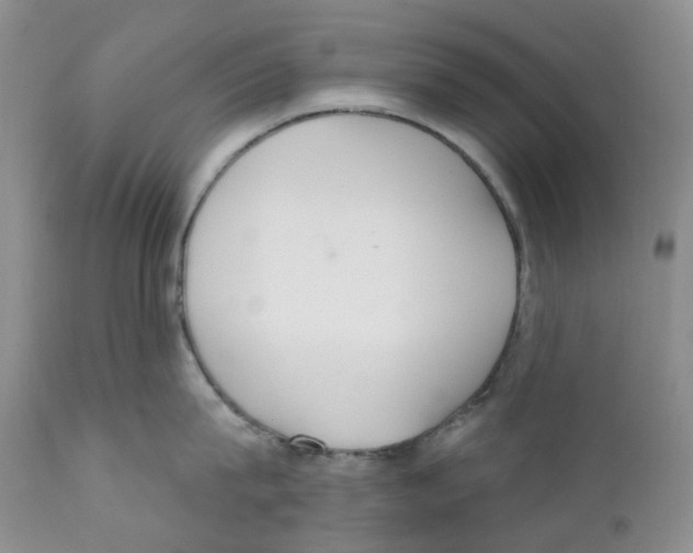 X0000111890815200908201319