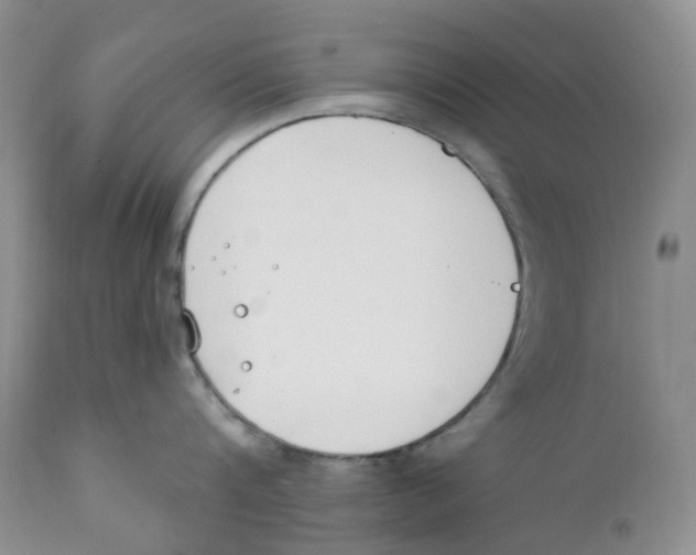 X0000111890816200908201319