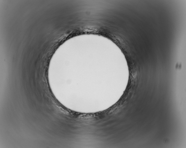 X0000111890817200908201318