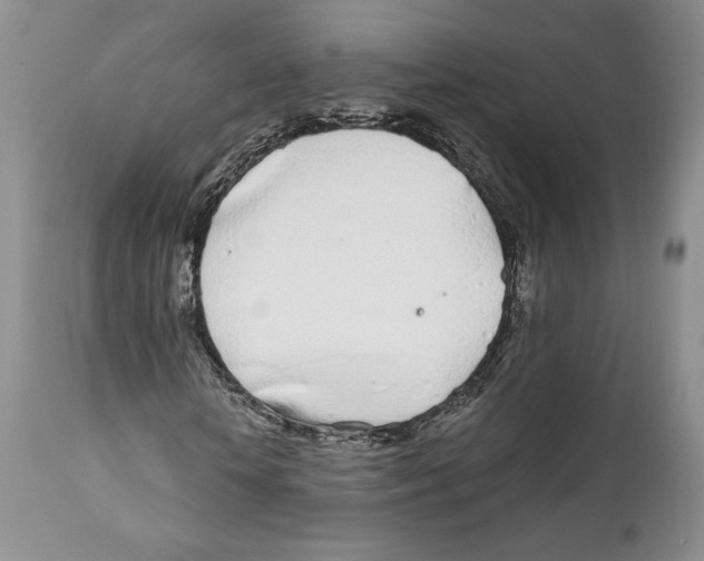 X0000111890818200908201318