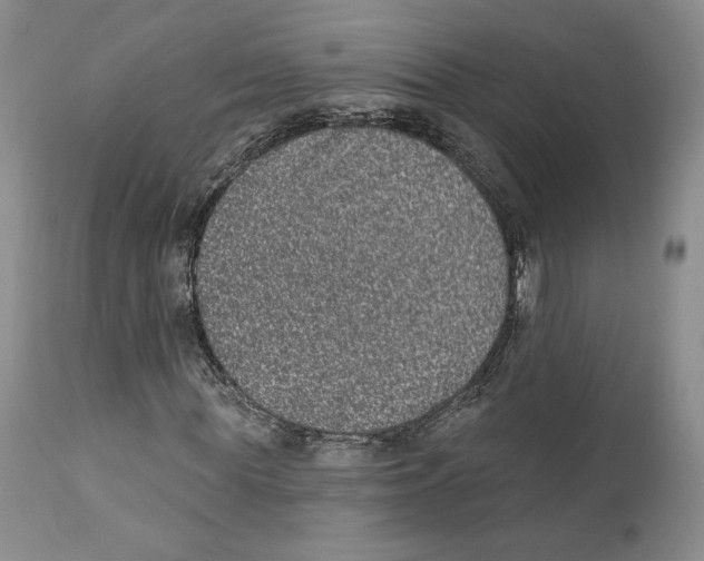 X0000111890819200908201319