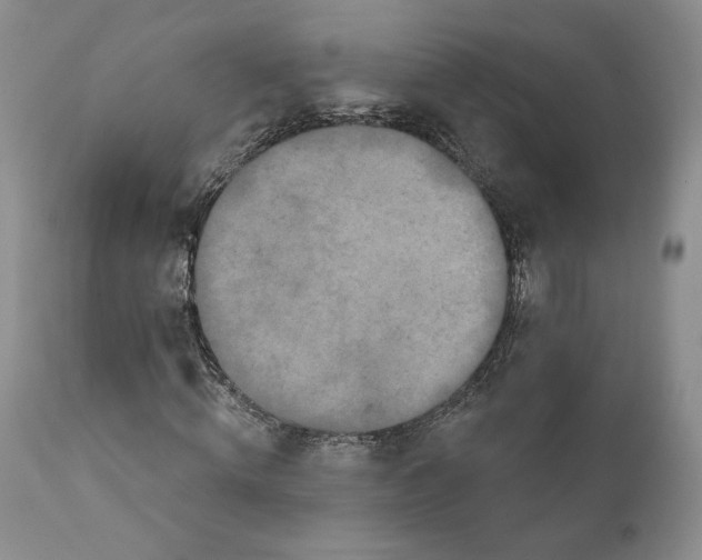 X0000111890820200908201319