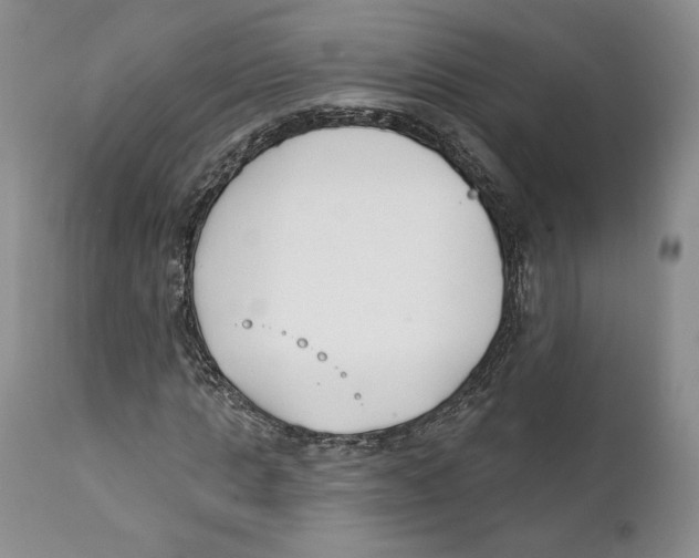 X0000111890821200908201319