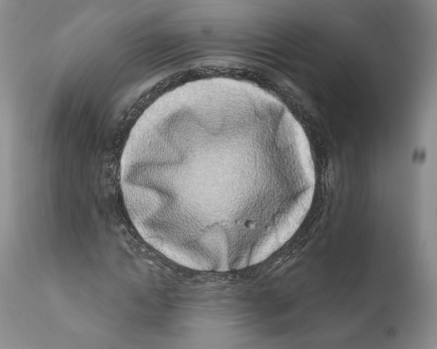 X0000111890822200908201319