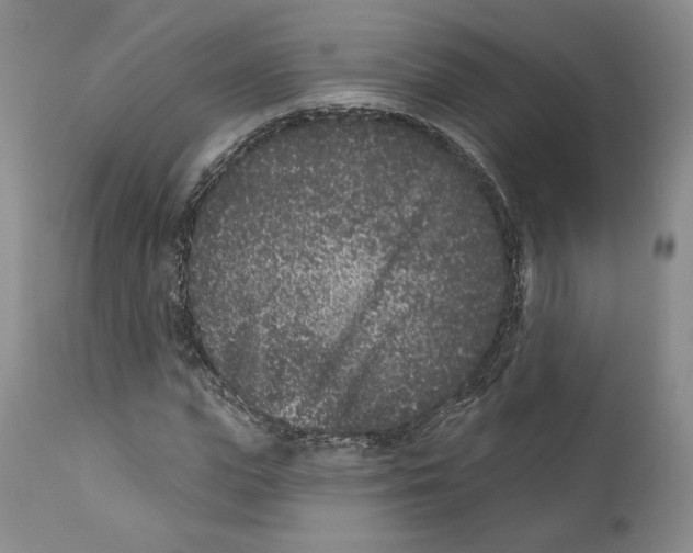 X0000111890823200908201319