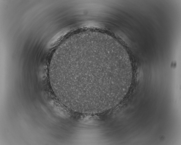 X0000111890824200908201319