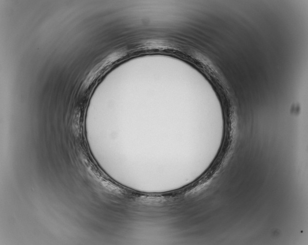 X0000111890825200908201319